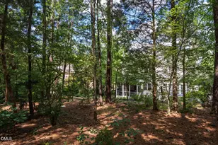 203 Simerville Rd, Chapel Hill, NC 27517 - Photo 53