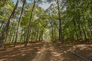 1237 Dalrymple Farm Rd, Sanford, NC 27330 - Photo 41