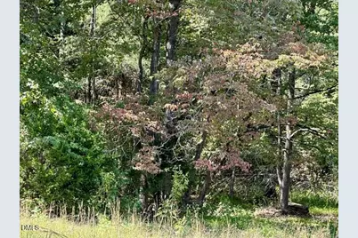 3 Harmony Church Road, Efland, NC 27243 - Photo 7