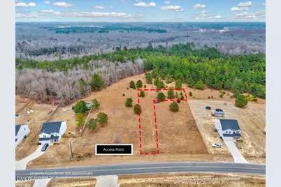 Lot 1 Blue Springs Road, Red Springs, NC 28377 - Photo 3
