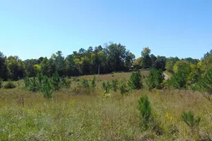 00 Lonnie Harris Rd, Oxford, NC 27565 - Photo 1