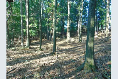 0 County Home Road Lot 2, Blanch, NC 27212 - Photo 11