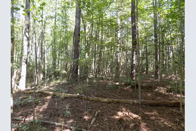 0 Perdues Road, Louisburg, NC 27549 - Photo 7