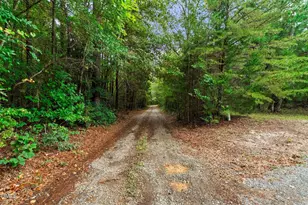 82 Arthur Alston Rd, Pittsboro, NC 27312 - Photo 39