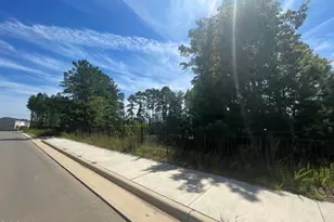 417 Carolina Spgs Blvd, Apex, NC 27539 - Photo 33