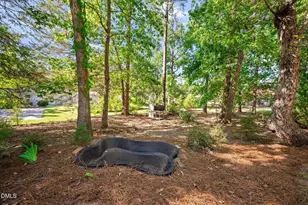 4415 Rhew Dr, Durham, NC 27704 - Photo 43