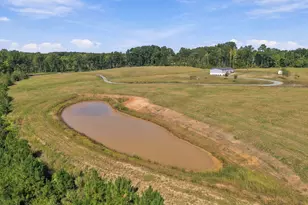 2366 Lower Moncure Rd, Sanford, NC 27330 - Photo 57