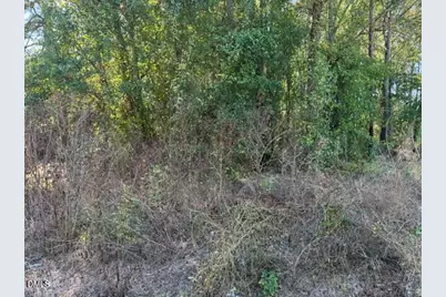 644 Caulton Brown Road, Lillington, NC 27546 - Photo 3