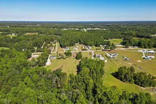 246 Railroad Rd, Benson, NC 27504 - Photo 33