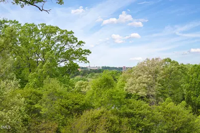 101 Quarry Place, Chapel Hill, NC 27517 - Photo 71