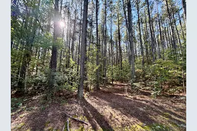 Lot 1 Shady Oak Road, Roxboro, NC 27574 - Photo 5