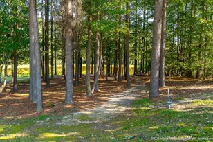 8607 Clearwater Dr, Sims, NC 27880 - Photo 59