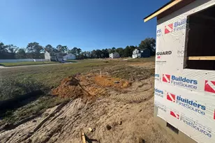 110 Sea Palm Ct, Lillington, NC 27546 - Photo 23