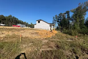 110 Sea Palm Ct, Lillington, NC 27546 - Photo 29