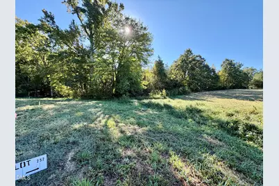 5.71 Acres Snipes Road, Hurdle Mills, NC 27541 - Photo 9