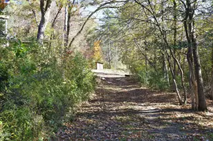196 Paces Mill Trail, Pittsboro, NC 27312 - Photo 39