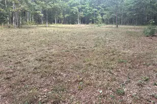 4030 Granite Ridge Trail, Raleigh, NC 27616 - Photo 1