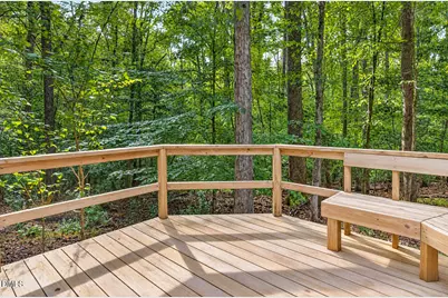 250 Hamamelis Lane, Pittsboro, NC 27312 - Photo 49