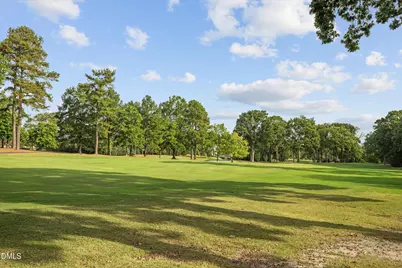 1305 Briar Patch Lane, Raleigh, NC 27615 - Photo 11
