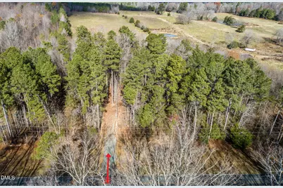 Tbd 2 Henderson Tanyard Road, Pittsboro, NC 27312 - Photo 3