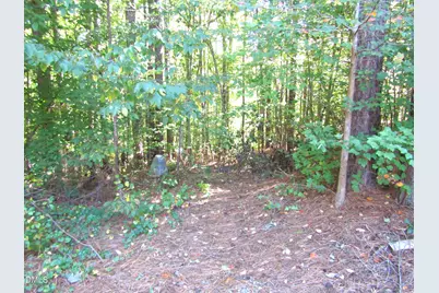 7050 Old Plantation Drive, Graham, NC 27253 - Photo 37