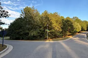 14 Brushwood Ct, Pittsboro, NC 27312 - Photo 9