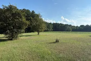 6171 Old Raleigh Rd, Sims, NC 27880 - Photo 1