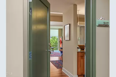 601 W Rosemary Street #317, Chapel Hill, NC 27516 - Photo 3
