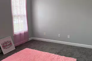 705 Crystal Spring Dr, Sanford, NC 27332 - Photo 21