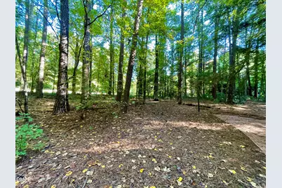 7401 Ebenezer Church Road, Raleigh, NC 27612 - Photo 45