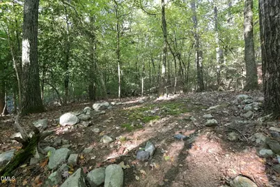 400 River View Road, Pittsboro, NC 27312 - Photo 51