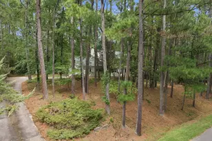 3724 Darwin Rd, Durham, NC 27707 - Photo 49