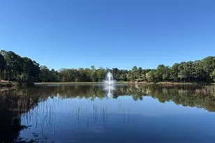 8241 Allyns Landing Way, Raleigh, NC 27615 - Photo 23