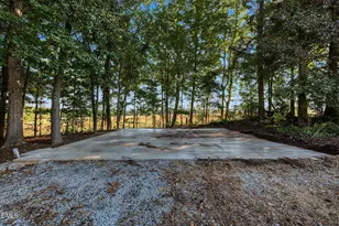 437 Tingen Mine Rd, Roxboro, NC 27574 - Photo 47