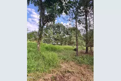 1574 Major Hill Road, Snow Camp, NC 27349 - Photo 11