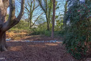 407 Buck Jones Rd, Raleigh, NC 27606 - Photo 33