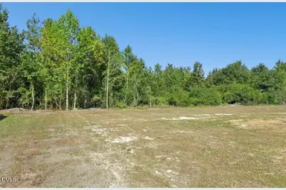 84 Hummingbird Grove Lane, Princeton, NC 27569 - Photo 29