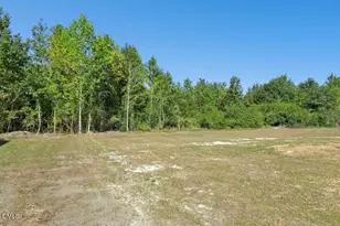 84 Hummingbird Grv Ln, Princeton, NC 27569 - Photo 29