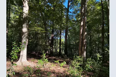 910 Nc-902 and 902 Hwy, Pittsboro, NC 27312 - Photo 5