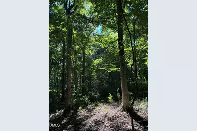 910 Nc-902 and 902 Hwy, Pittsboro, NC 27312 - Photo 3