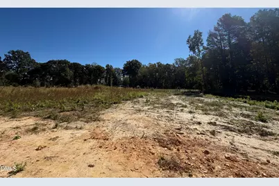 726 Olive Branch Drive, Smithfield, NC 27577 - Photo 3