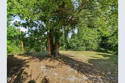 317 S 2nd Street, Smithfield, NC 27577 - Photo 27