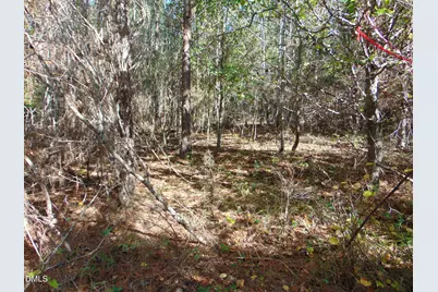 Lot 13 Bill Smith Road, Providence, NC 27315 - Photo 15