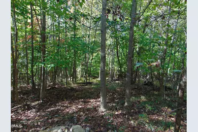 Lot 14 Bill Smith Rd, Providence, NC 27315 - Photo 17