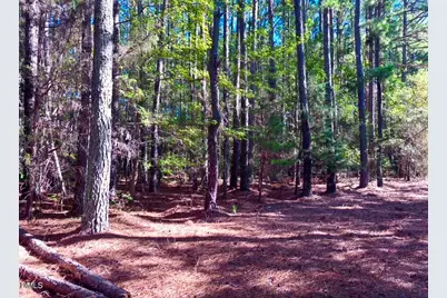 0 Plantation Boulevard, Henderson, NC 27537 - Photo 5
