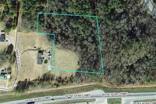 0 Harold Rd, Roseboro, NC 28382 - Photo 1
