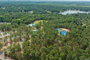 240 Captain Harbor, Sanford, NC 27332 - Photo 37