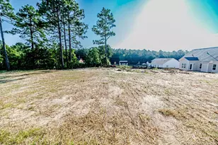 30 Blackgum Ct, Spring Lake, NC 28390 - Photo 31
