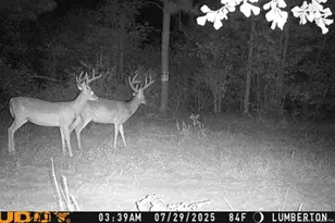 Allen St, Lumberton, NC 28359 - Photo 1