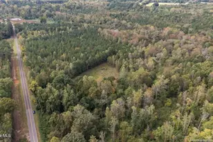 1435 Pineywood Church Rd, Cameron, NC 28326 - Photo 45